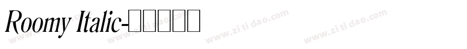 Roomy Italic字体转换